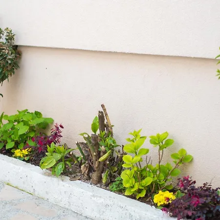 게스트하우스 Five Rivers 4*