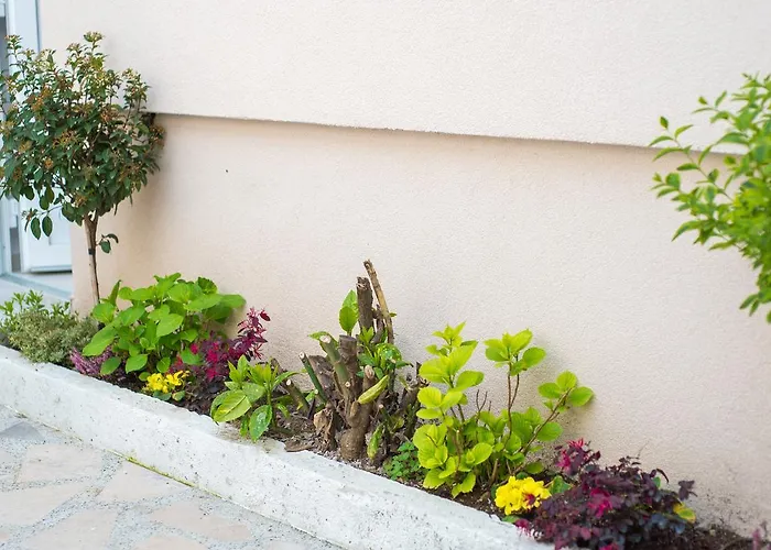 Five Rivers 招待所 莫斯塔尔