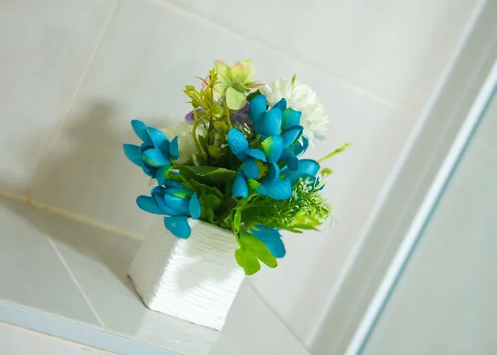 Five Rivers 莫斯塔尔